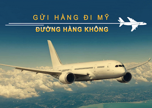 Gửi hàng tiết kiệm đi Mỹ với giá siêu rẻ tại PTN Logistics